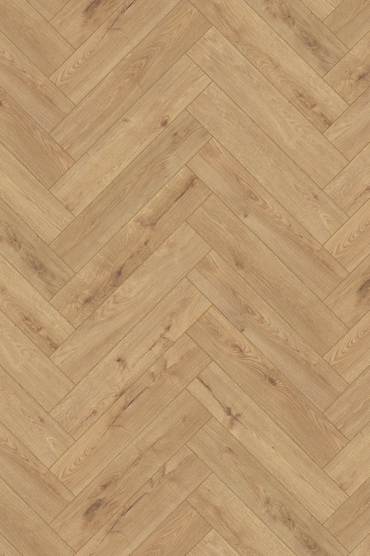 herringbone lamniates vrohoriti tirane